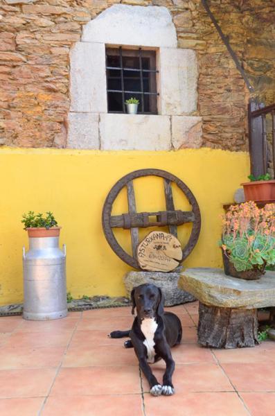 La AsturXana Hostal Malleza Exterior foto